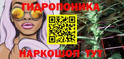 PSILOCYBIN Моздок